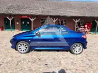 2006 Peugeot 206