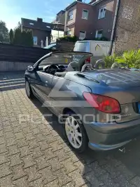 2006 Peugeot 206