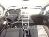 2006 Peugeot 307