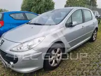 2006 Peugeot 307