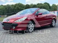 2006 Peugeot 307