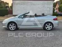 2006 Peugeot 307