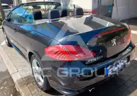 2006 Peugeot 307