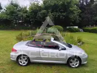 2006 Peugeot 307