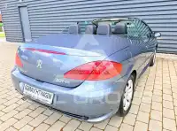 2006 Peugeot 307