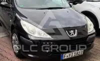 2006 Peugeot 307