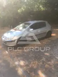 2005 Peugeot 307