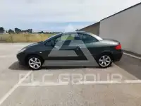 2006 Peugeot 307