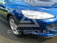2006 Peugeot 407