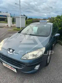 2006 Peugeot 407