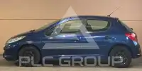 2006 Peugeot 207