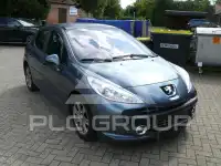 2006 Peugeot 207