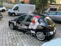 2006 Peugeot 207