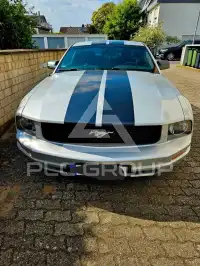 2006 Ford MUSTANG