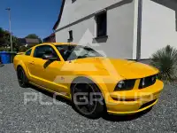 2006 Ford MUSTANG