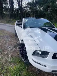 2006 Ford MUSTANG