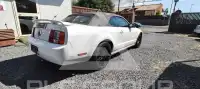 2006 Ford MUSTANG