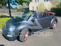 2006 Volkswagen BEETLE