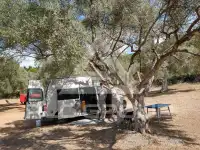 2006 Volkswagen T5