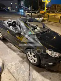 2007 Peugeot 206