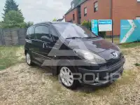 2007 Peugeot 1007