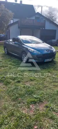 2007 Peugeot 307