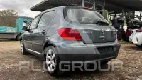 2007 Peugeot 307