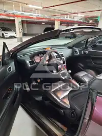 2007 Peugeot 307