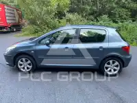 2007 Peugeot 307