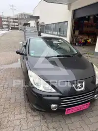 2007 Peugeot 307