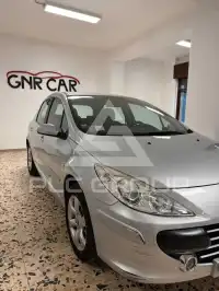 2007 Peugeot 307