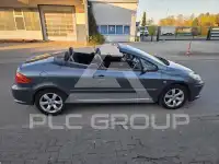 2007 Peugeot 307