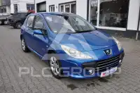 2007 Peugeot 307