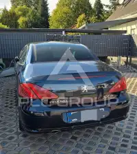 2007 Peugeot 307
