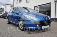 2007 Peugeot 307