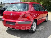 2007 Peugeot 307
