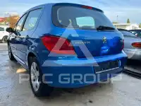 2007 Peugeot 307