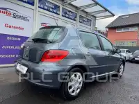 2007 Peugeot 307