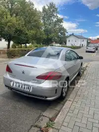 2007 Peugeot 307