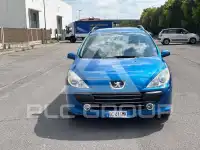 2007 Peugeot 307