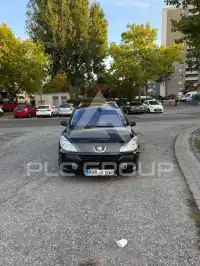 2007 Peugeot 307