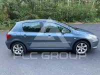 2007 Peugeot 307