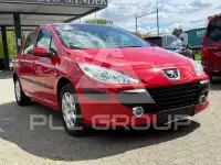 2007 Peugeot 307