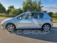 2007 Peugeot 307