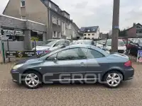 2007 Peugeot 307