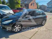 2007 Peugeot 307
