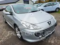 2007 Peugeot 307