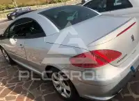 2007 Peugeot 307