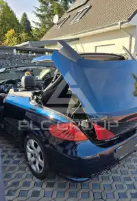 2007 Peugeot 307
