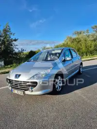 2007 Peugeot 307
